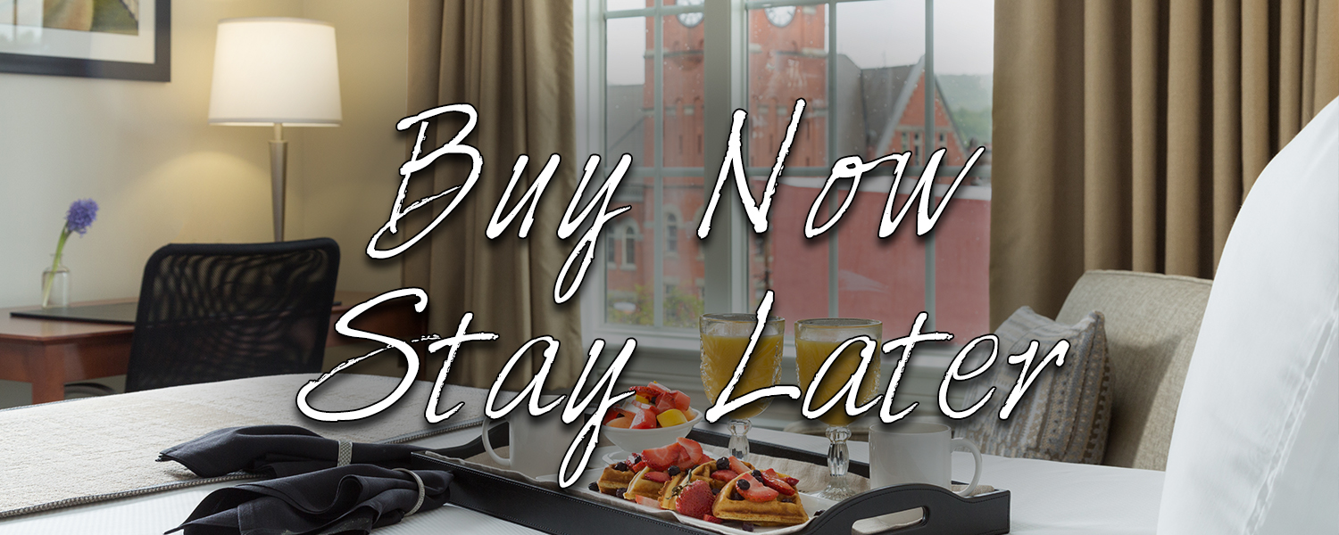 Buy Now, Stay Later Header- Anthracite