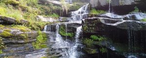 Waterfall in the Pocono Mountains