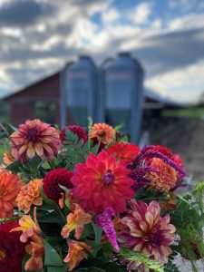 florals at a dairy farm