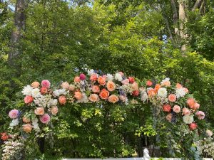 arch way of roses